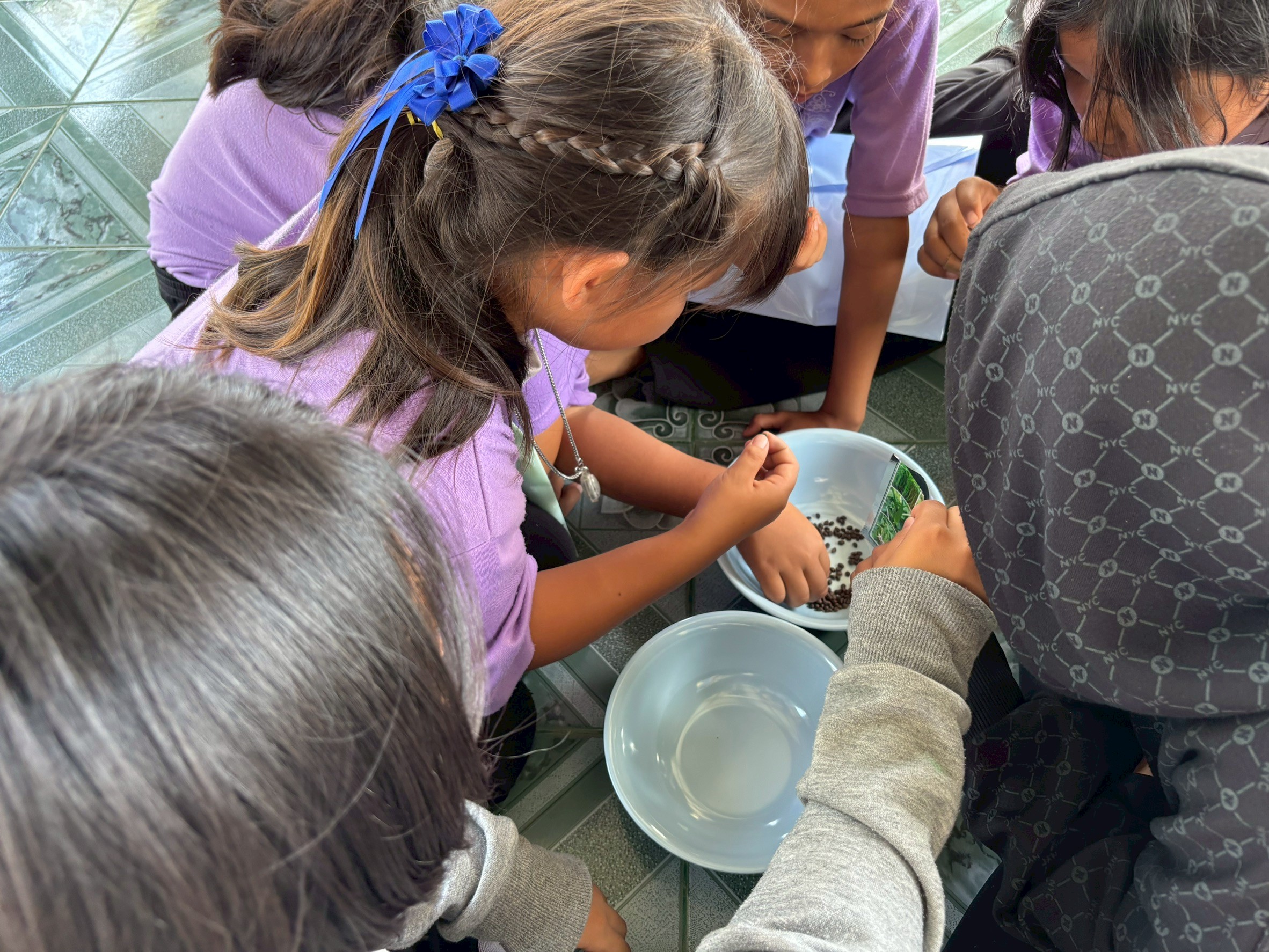 title - ส.ป.ก.ประจวบคีรีขันธ์ วันที่ 26-27 กุมภาพันธ์ 2569 ดำเนินการจัดฝึกอบรมภายใต้โครงการอนุรักษ์พันธุกรรมพืช อันเนื่องมาจากพระราชดำริ สมเด็จพระเทพรัตนราชสุดาฯ สยามบรมราชกุมารี (อพ.สธ.) ประจำปีงบประมาณ พ.ศ. 2569 ณ โรงเรียนบ้านวังน้ำเขียว หมู่ที่ 7 ตำบลร่อนทอง อำเภอบางสะพาน จังหวัดประจวบคีรีขันธ์ และโรงเรียนตำรวจตระเวนชายแดนบ้านย่านซื่อ หมู่ที่ 9 ตำบลหาดขาม อำเภอกุยบุรี จังหวัดประจวบคีรีขันธ์